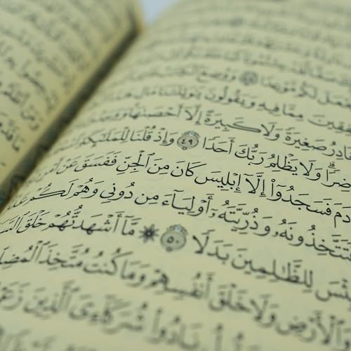 Modefa Prayer Rug Islamic Gift Set - Holy Quran in Arabic - Velvet Box with Quran and Tesbih (Green) - color: Green