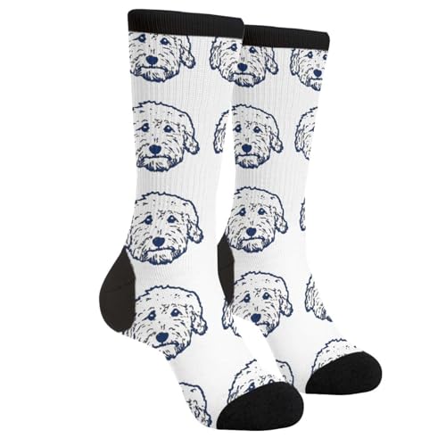 Cute Goldendoodle Unisex Funny Novelty Socks, Funky Crazy Cool Crew Dress Socks - color: Cute Goldendoodle