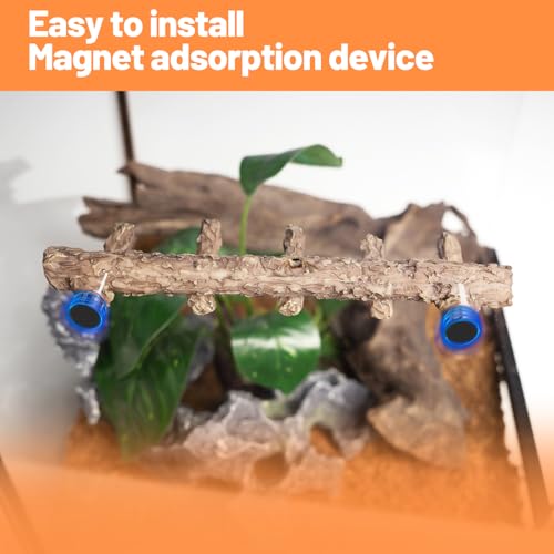 Jumping Spider Hideout and Feeding Dish, 3 in 1 Nut Shaped Hide Cave Sets for Spider Playing Feeding Climbing, Enclosure Accessories