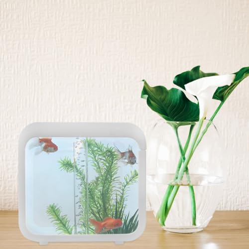 Plastic Aquarium Miniature Kits Small Aquarium Mini Fish Tank Small with LED Lighting Fish Landscape Box Desktop Decoration LED Creative - color: White