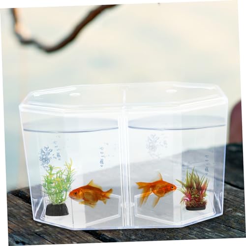 GALPADA Fish Breeding Tank with Divider Isolation Box for Betta Guppy Shrimp and Clownfish Easy to Clean and Store Design for Spawning and Nursing