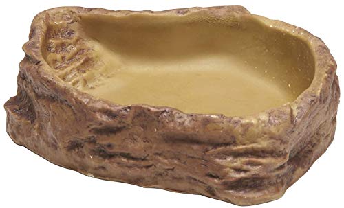 Exo Terra Feeding Dish - Medium - size: Medium