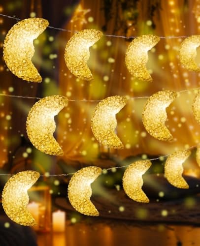 AceList Moon String Lights, 9.8FT 20 LED Decorative Fairy Lights, USB & Battery Powered for Bedroom, Party, Dorm, Camping, Mother’s Day, Holiday and Everyday Home Decor