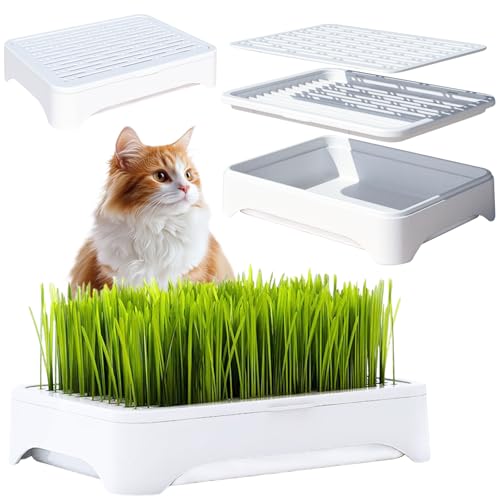 2-Pack Cat Grass Planter (No Seeds Included), Tri-Section Design, Anti-Pull Out Cat Grass Seed Starter Tray, Sprouts Growing Kit, Microgreens Growing Trays