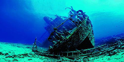 Large Shipwreck Aquarium Background Poster HD Fish Tank Ornament Landscape (48" x 30"/ 122 x 76cm) - size: 48" x 30"/ 122 x 76cm