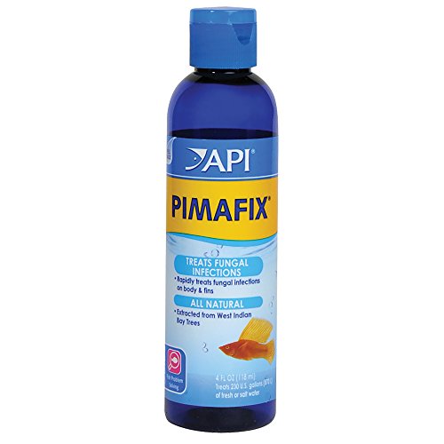 API PIMAFIX bordeaux mixture Freshwater and Saltwater Fish Remedy 4-Ounce Bottle (10G) , Black - size: 4-Ounce