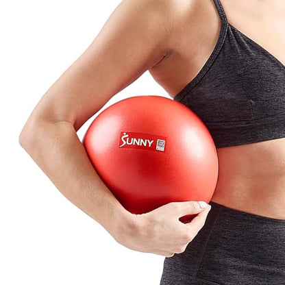 Sunny Health & Fitness Premium Anti-Burst Exercise & Stability Ball | 660LB Capacity, Yoga, Pilates, Physical Therapy, Recovery, Prenatal Comfort, Non-Slip Texture, Non-Toxic, Odor-Free - style: 9-inches/23cm