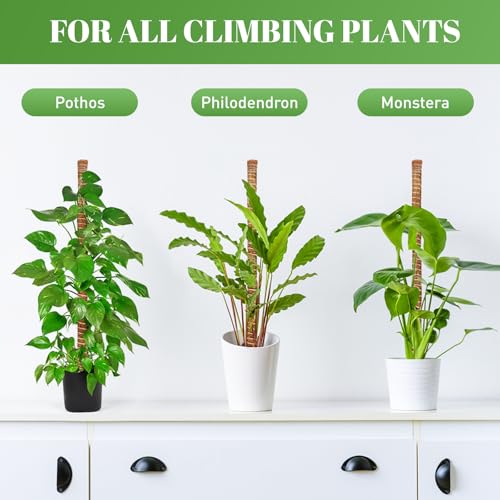 54 Inch Moss Pole for Climbing Plants Indoor | 3 Pack 16 Inch Monstera Plant Support Coir Plant Pole Sticks Support Stakes for Potted Plants, Pothos, Philodendron