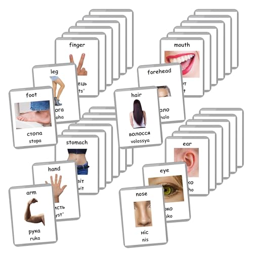 Ukrainian English Bilingual Flash Cards | Learn Ukrainian Language | Montessori Cards | Choose Your Set ((Body Parts)