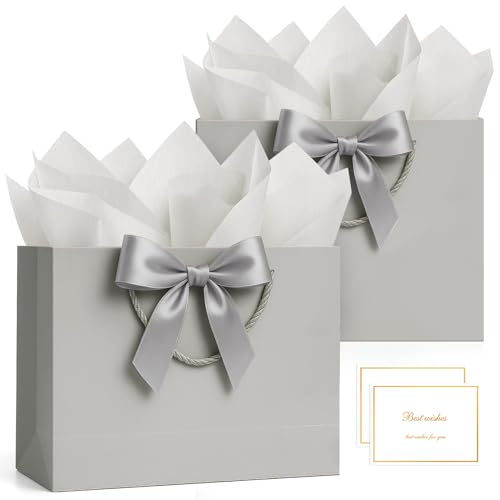 ANZNKU 2PCS Gray Gift Bags Medium for Women & Men, Gift Bags with Handles 4 Tissue Paper 2 Ribbons 2 Cards for Wedding Birthday Bridal Baby Shower Graduation Engagement Party Favors Present Wrap Set - color: Cloudy Gray
