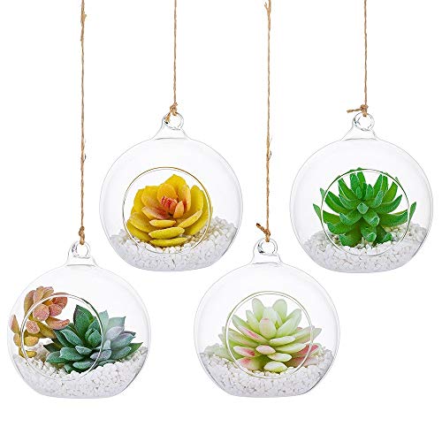 NUPTIO Hanging Glass Terrarium Planters, 4 Pcs, 4 Inch | Clear Round Globes, for Succulents, Air Plants, Votives, DIY Gifts, Window or Garden Decor - size: 4" / 10cm