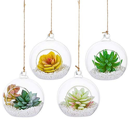 NUPTIO Hanging Glass Terrarium Planters, 4 Pcs, 4 Inch | Clear Round Globes, for Succulents, Air Plants, Votives, DIY Gifts, Window or Garden Decor - size: 4" / 10cm