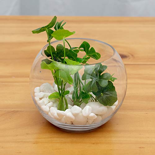 WGVI Bowl Glass Vase, Diameter 8", Height 6", Open Width 5", (Multiple Sizes Choices) Clear Bubble Planter Terrarium Fish Bowl for Wedding Event Home Decor, 1 Piece (VBW0008A) - size: 8"Dx6"H 1 Piece
