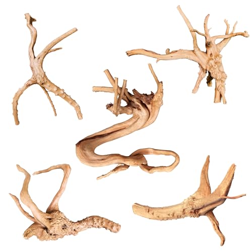 Natural Small Driftwood for Aquarium Decor Fish Tank Decor Reptile Decor | Assorted Driftwood Branch, Natural Driftwood for Aquascaping and Reptile Decor - size: Spiderwood 4 to 8 Inch(Pack of 5)