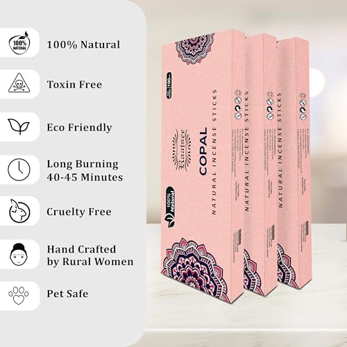 100% Natural Copal Incense Sticks 100 gm Pack, Charcoal Free –– Organic Non Toxic Insence Sticks, Made with Flowers - Meditation Gifts for Spiritual Cleansing - color: Copal