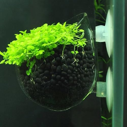 4Pcs Aquarium Plant Planter, Acrylic Fish Tank Plants Holder, Aquarium Decoration Plant Cup with Suction Cups for Fishes Tank Ornament Aquarium Décor Plastic Plants Fish and Aquatic Pets, (2",1.5")