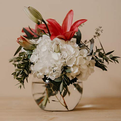 WGVI Bowl Glass Vase, Diameter 8", Height 6", Open Width 5", (Multiple Sizes Choices) Clear Bubble Planter Terrarium Fish Bowl for Wedding Event Home Decor, 1 Piece (VBW0008A) - size: 8"Dx6"H 1 Piece