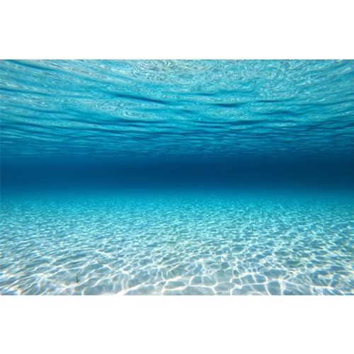 AWERT 36x20 in Sunshine Ocean Floor Fish Tank Background Aquarium Backdrop | AWERT Clear Seabed Undersea Theme Polyester Terrarium Background - size: 36x20in/90x50cm