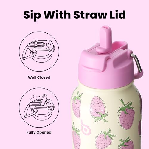 BOTTLE BOTTLE 32oz Insulated Water Bottle with Pill Box | Stainless Steel,Sport Water Bottle, with Straw Dual-use Lid and Pill Box, Design for Gym - color: Sweet Berry