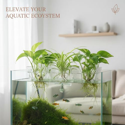 Large Aquarium Plant Holder scalable Top Hanging Fish Tank Plant Holders Cups, Accessories Adjustable, Fish Tank Décor Hangers, Scalable Design for Aquarium Hobbyists