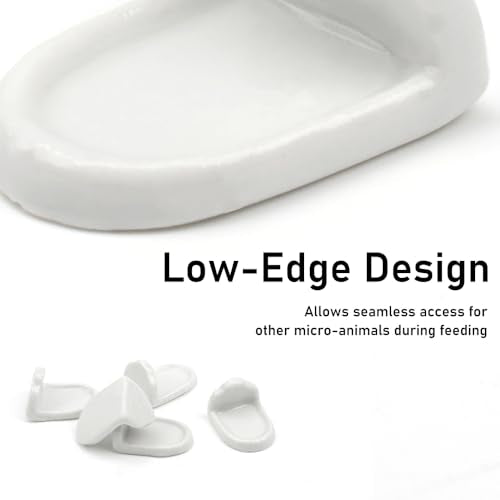 10 Pcs Isopod Feeding Dish Cricket Feeder Bowl for Isopods Springtails Dubia Roaches Tiny Bugs (White)