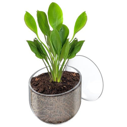 Pawfly Aquarium Plant Holder for Fish Tanks, Clear Plastic Fish Tank Plant Holder, Aquarium Planter Cup with Suction Cup, Fish Tank Plant Pot for Aquascape Decoration, Red Worm Fish Feeder - size: 1 Pack
