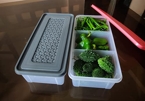 3 Partition Fridge Storage Container Boxes Organizer,Refrigerator Plastic Storage Box For Kitchen,For Dry/Liquid Food,Stackable Microwave Safe Container For Fish Meat-Pack Of 2,Blue