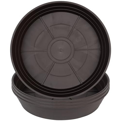 Plant Saucer 6 Inch 4 Pack 6 8 10 12 14 16 18 20 25, Plastic Plant Trays for Pots，Extra-Deep Plant Water Dray Tray, Bird Bath Bowl, Heavy Flower Plant saucers Indoors and Outdoor No Holes 6in-4 brown - color: Brown, size: 6in(4 Pack)