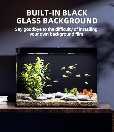 5 Gallon Glass Fish Tank Rimless with Black Background Rectangular Tank | Ultra Clear Low-iron Glass, 5 mm Thick, 92% Light Transmission, for Betta Shrimp Guppy Snail, Included Leveling Mat - size: 5 gallon tank only