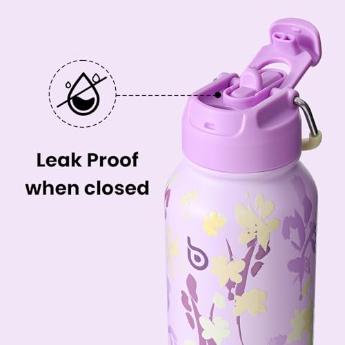 BOTTLE BOTTLE 32oz Insulated Water Bottle with Pill Box | Stainless Steel,Sport Water Bottle, with Straw Dual-use Lid and Pill Box, Design for Gym - color: Purple Grown
