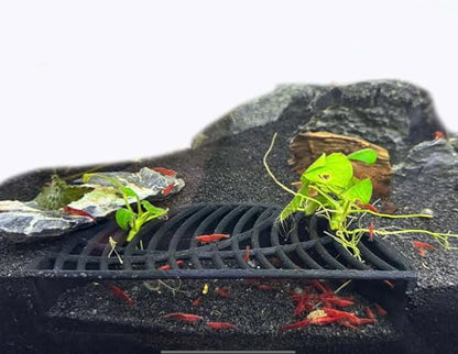LifeWithPets Shrimp Breeding Hide | Shrimp Cave | Shrimp Hide | Tunnel | Black - size: Halfmoon Hide