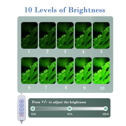 Upgraded Aquarium Light Clip On Fish Tank LED Light Small USB Light Dimmer Multi-Color White+Warm Yellow+Yellow 1 to 5 Gal (Adapter NOT Included, No Timer) - size: White-Dimmer