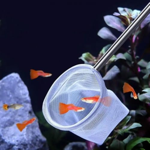 Aquarium Net with Extendable Long Handle, Adjustable Wastes Skimming Cleaning Tools Nylon Fishing Mesh Nets with Long Plastic Handle - color: round, style: L