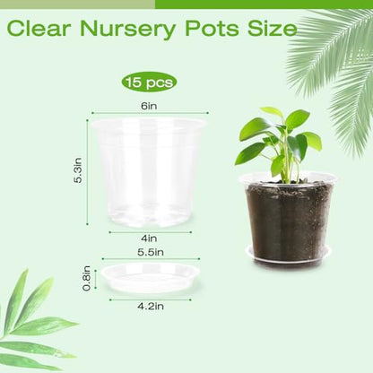 6 Inch Clear Nursery Pots with Drainage Trays, 15 Pack Plastic Pots for Plants, Clear Pot for Seed Starting, Transplanting, Succulents, and Indoor Gardening (6 inch) - size: 6 inch