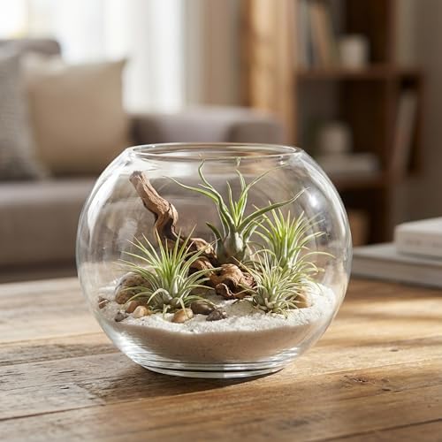 WGV Bowl Glass Vase, Diameter 5.1", Height 3.75", Open Width 3", (Multiple Sizes Choices) Clear Bubble Planter Terrarium Fish Bowl for Wedding Event Home Decor, 12 Pieces (VBW0005) - size: 5"Dx3.75"H 12 Piece