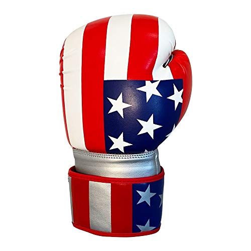 Training Boxing Gloves Plain American Russian Themes Gloves for Workouts Gym Practice - size: 10 Oz, style: American Theme
