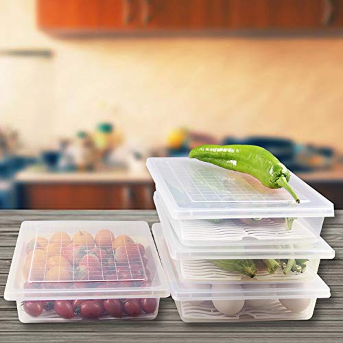 4PCS Food Storage Container, Plastic Food Containers Large | [With Removable Drain Plate and Lid], [Stackable Portable Freezer Storage Containers]-Tray to Keep Fruits, Vegetables, Meat - size: Large(4PCS)