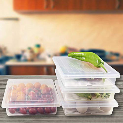 4PCS Food Storage Container, Plastic Food Containers Large | [With Removable Drain Plate and Lid], [Stackable Portable Freezer Storage Containers]-Tray to Keep Fruits, Vegetables, Meat - size: Large(4PCS)