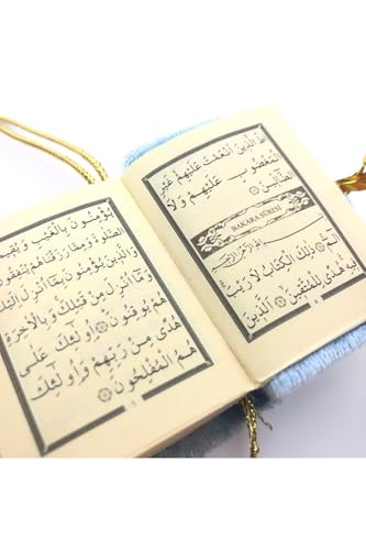 SODEF Mini Velvet Cover Quran - Gold Accent - Arabic Text - Normal Size - 601-650 Pages - Single Piece