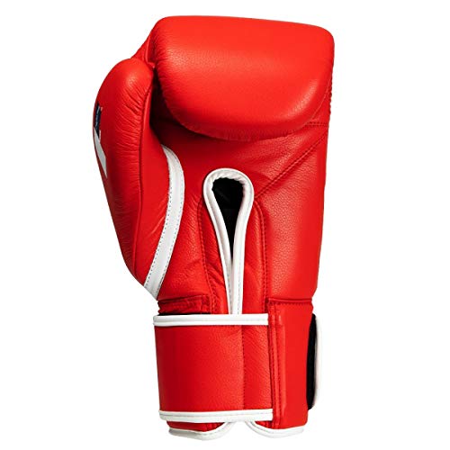Fighting Sports Fury Professional Training Gloves - Boxing Gloves Boxing, Training Gloves, MMA Gloves, Oz Training Gloves, Kickboxing Gloves, Punching Bag Gloves, Sparring Gloves - color: Red, size: 14 oz