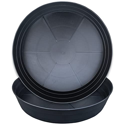 LWALRS Plant Saucer 12 Inch 2 Pack 10 12 14 16 18 20 25, Plastic Plant Trays for Pots，Extra-Deep Plant Water Dray Tray, Bird Bath Bowl, Heavy Flower Plant Saucers Indoors and Outdoor No Holes - color: Black, size: 12in(2 Pack)