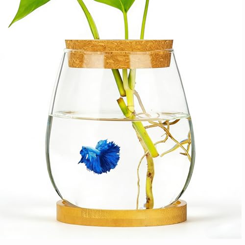0.5 Gallon Fish Bowl Betta Fish Tank Glass Aquarium with Wood Lid & Bamboo Stand – Hydroponic Plants Planter, Glass Vase, Gift
