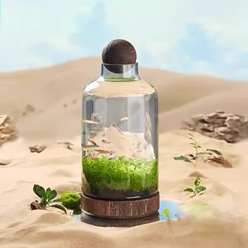 Glass Aquarium with Wooden Base, Microecosphere Fish Tank, Transparent Bottle-Shaped Batta Fish Bowel, Micro-Landscape Ecological Aquarium, Modern Glass Goldfish Tank,M - color: M