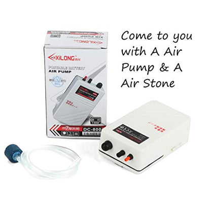 Battery Aquarium Air Pump, Quiet DC-800 Backup Fish Tank Air Bubbler, Portable Power Outage Aerator Emergency Oxygen Diffuser, Keeps Fish Safe & Bait Minnow Shrimp Alive