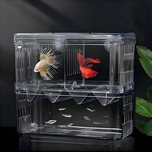 Aquarium Fish Breeder Box Hatchery Incubator,Multi-Functional Acrylic Breeder Isolation Box Hatching Incubator Box for Fish Fry Shrimp Little Turtle Betta Fish - size: L