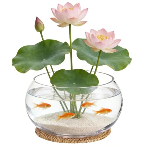 Lotus Bowl Planter with Rattan Mat, 10 in Round Glass Vase Bowl | Clear Glass , Open-Top Hydroponic Design, Handwoven Rattan Mat, For Lotus, Water Greens, Fish Bowl And Table Decor