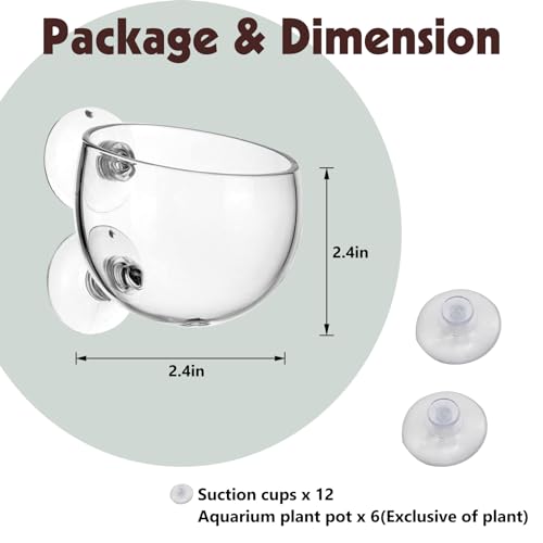 Tfwadmx 6 Pieces Aquarium Plant Holder Pot Aquarium Decor Crystal Glass Aquatic Plant Cup with Suction Cups Aquarium Fish Tank Decorations