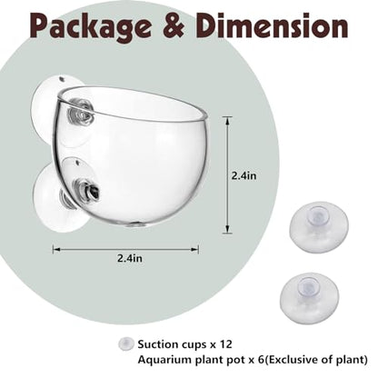 Tfwadmx 6 Pieces Aquarium Plant Holder Pot Aquarium Decor Crystal Glass Aquatic Plant Cup with Suction Cups Aquarium Fish Tank Decorations