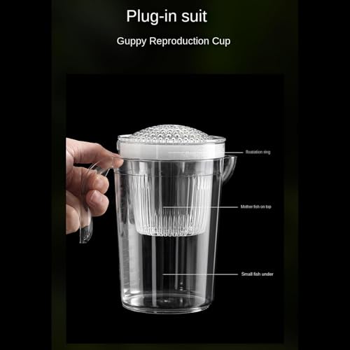 Transparent Hatch Box, Fish Isolation Nursery Cup, Aquarium Fry Safety Breeder Container, Multi Species Separation Chamber Tool, Acrylic Viewing Design, Tank Care Accessory for Shrimp Cichlid