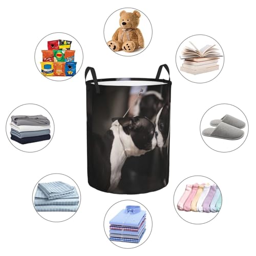 Boston Terriers At Dog Show Round Waterproof Oxford Cloth Laundry Basket Multi-Purpose Storage Basket Toys Books Clothes Storage Basket - color: Black 3